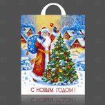 Пакеты с петлевой ручкой нг