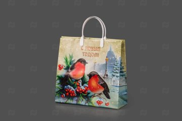 картинка Пакет софтпласт 30*30*10см 15мк Пернатые друзья НГ Мир упаковки