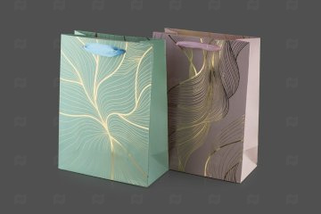 картинка Пакет ламинированный 24*18*8см SCW410-ABCD Мир упаковки