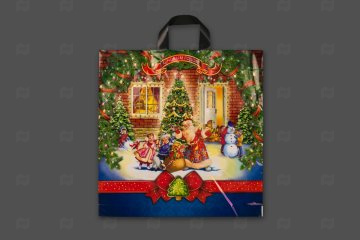 картинка Пакет с петлевой ручкой 44*44см 70мк Зимнее чудо НГ 25шт Мир упаковки