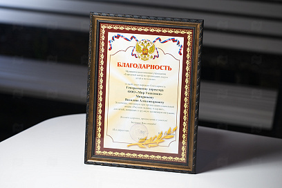 Благодарность от МКУ "городской центр по организации досуга детей и молодежи"
