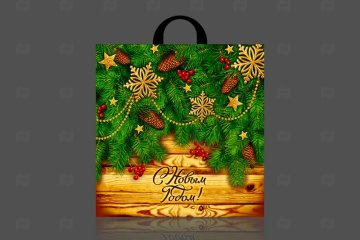 картинка Пакет с петлевой ручкой 44*44см 70мк Праздник у дверей НГ 25шт Мир упаковки