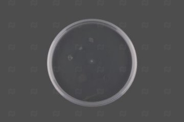 картинка Крышка к ведру круглая 1,1л d-130 мм прозрачная НЗПТ Мир упаковки