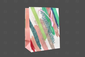 картинка Пакет ламинированный 24*18*8см SCW685-ABCD Мир упаковки