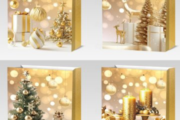 картинка Пакет ламинированный 23*18*10см вертикальный 12шт НГ X814-S  Мир упаковки