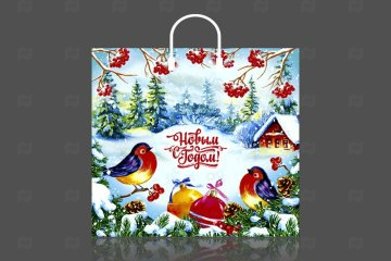 картинка Пакет с пластиковой ручкой 37*34см Птичья трель НГ Мир упаковки