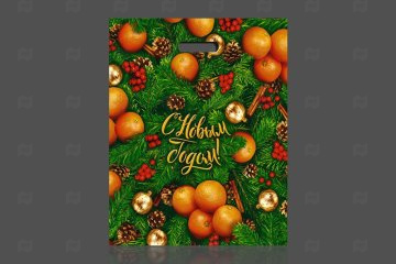 картинка Пакет с вырубной ручкой 40*47см 45мк Спелая зима НГ 50шт Мир упаковки