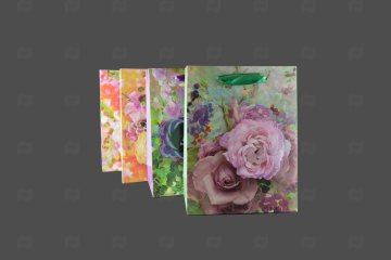 картинка Пакет ламинированный 24*18*8см 12шт SCW655-ABCD Мир упаковки