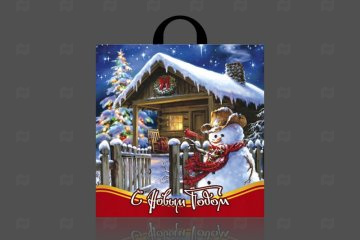 картинка Пакет с петлевой ручкой 44*44см 70мк Зимний гость НГ 25шт Мир упаковки