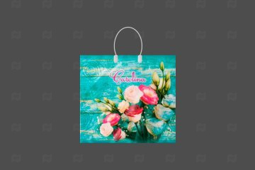 картинка Пакет с пластиковой ручкой 37*34см 80мк Каролина 10шт Мир упаковки