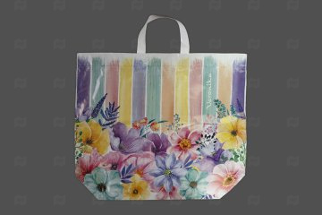 картинка Пакет с петлевой ручкой 60*50см 160мк Вероника Эко Мир упаковки