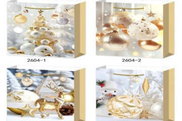 картинка Пакет ламинированный 32*26*10см вертикальный 12шт НГ Y2604-M  Мир упаковки