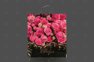 картинка Пакет с пластиковой ручкой 40*44см 100мк Бенефис Мир упаковки