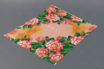 картинка Пакет с вырубной ручкой 40*47см 45мк Впечатление НВ 50шт Мир упаковки