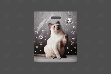 картинка Пакет с вырубной ручкой 40*47см 45мк Шалун 50шт Мир упаковки