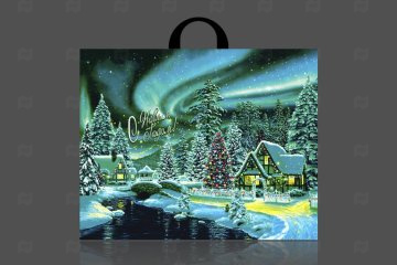 картинка Пакет с петлевой ручкой 71*55см 90мк Дивный лес НГ 25шт Мир упаковки