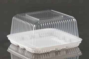 картинка Дно Т-170 191*191*25мм шипованное белое ПС Мир упаковки