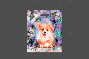 картинка Пакет с вырубной ручкой 38*47см 60мк с ламинацией Рыжик Мир упаковки