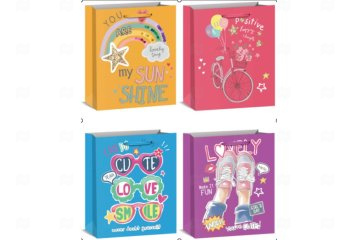 картинка Пакет ламинированный 24*18*8см SCW627-ABCD  Мир упаковки