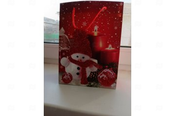 картинка Пакет ламинированный 24*18*8,5см Украшения для праздника НГ SCC483-ABCD  Мир упаковки