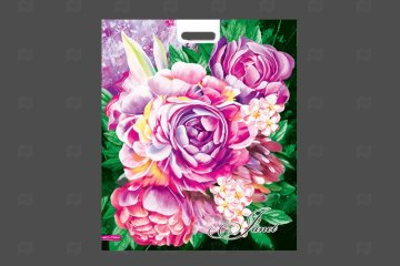 картинка Пакет с вырубной ручкой 50*60см 100мк Жанет 25шт Мир упаковки