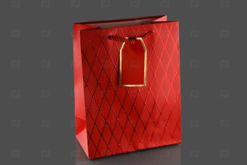 картинка Пакет ламинированный 24*18*8см 12шт SCW690-ABCD Мир упаковки